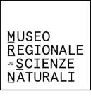 museo-regionale